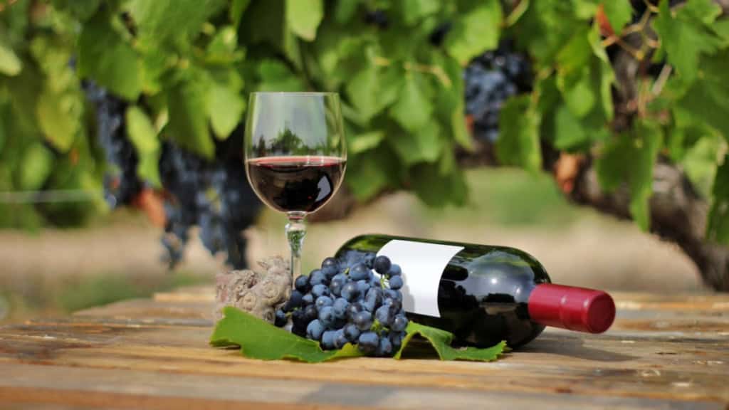 Weinwanderung - Wein mit Flasche Eine Flasche und eine Glas Wein vor einer Weinrebe - Weinwanderung.