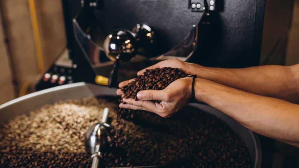 barista-kaffeebohnen Person hält frisch geröstete Kaffeebohnen über einer Trommel in einer Rösterei.